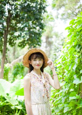 龙族动漫在线观看免费全集高清